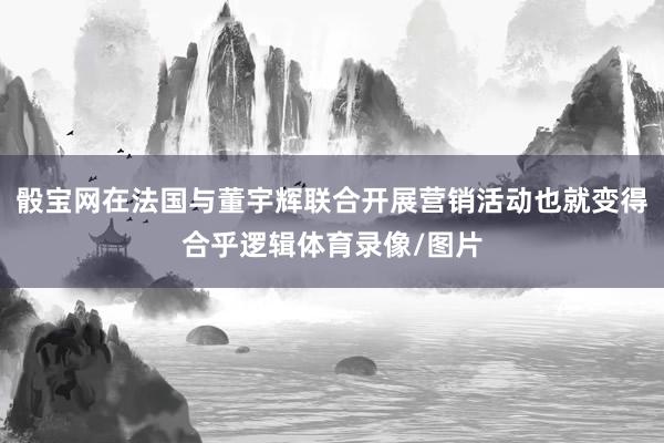 骰宝网在法国与董宇辉联合开展营销活动也就变得合乎逻辑体育录像/图片