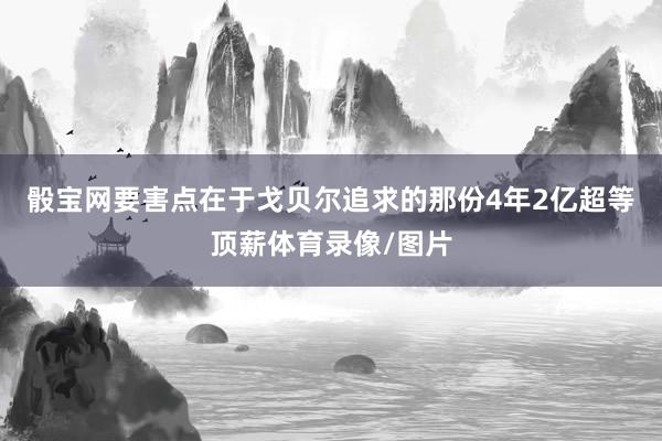 骰宝网要害点在于戈贝尔追求的那份4年2亿超等顶薪体育录像/图片