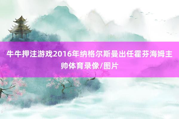 牛牛押注游戏2016年纳格尔斯曼出任霍芬海姆主帅体育录像/图片