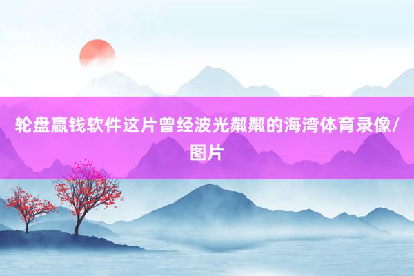 轮盘赢钱软件这片曾经波光粼粼的海湾体育录像/图片