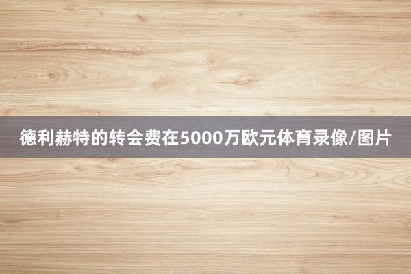 德利赫特的转会费在5000万欧元体育录像/图片