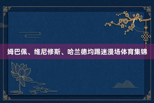 姆巴佩、维尼修斯、哈兰德均踢迷漫场体育集锦